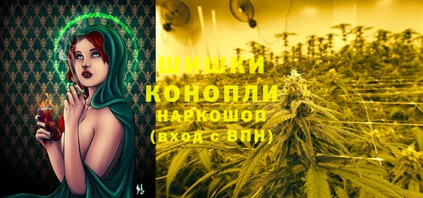 индика Белокуриха