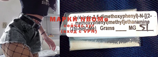индика Белокуриха