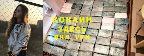 индика Белокуриха