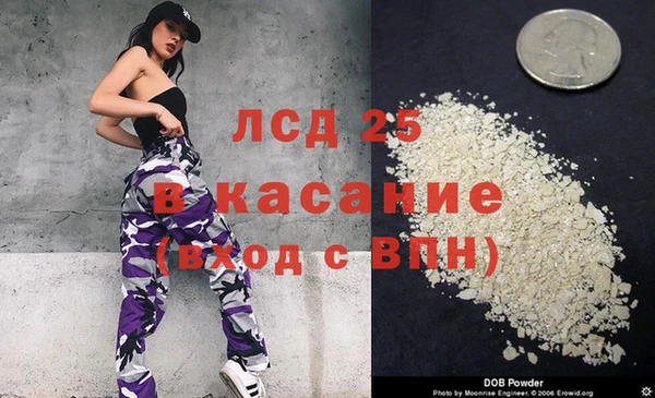 индика Белокуриха
