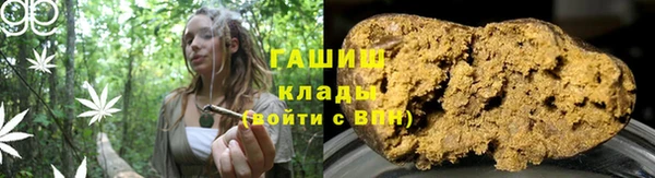 индика Белокуриха
