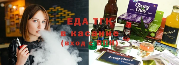 индика Белокуриха
